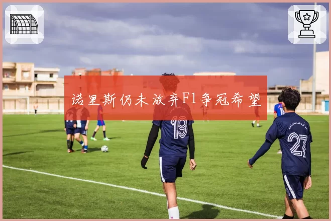 诺里斯仍未放弃F1争冠希望