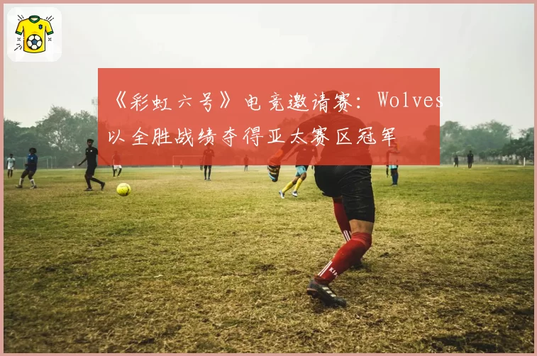 《彩虹六号》电竞邀请赛：Wolves以全胜战绩夺得亚太赛区冠军