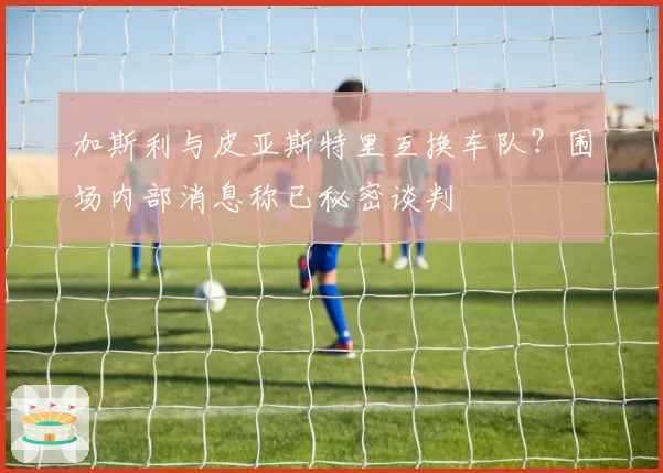 加斯利与皮亚斯特里互换车队?围场内部消息称已秘密谈判