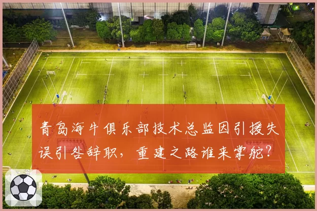 青岛海牛俱乐部技术总监因引援失误引咎辞职，重建之路谁来掌舵？