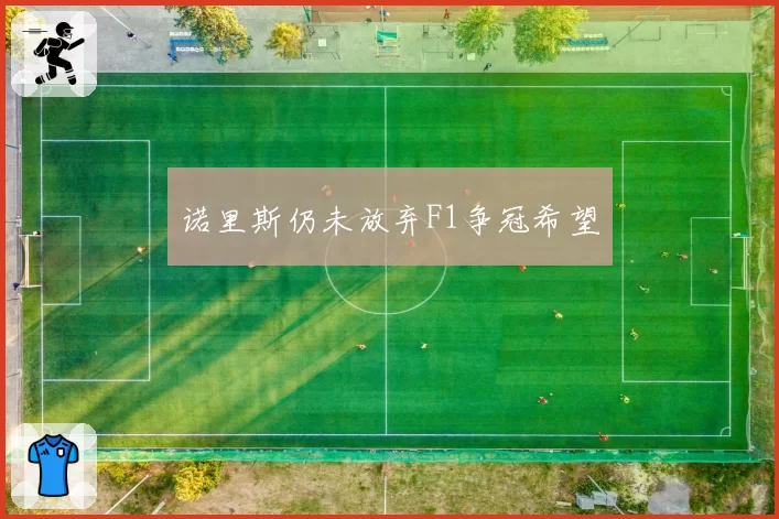 诺里斯仍未放弃F1争冠希望