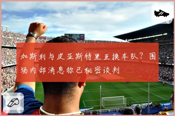 加斯利与皮亚斯特里互换车队?围场内部消息称已秘密谈判
