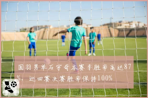 国羽男单石宇奇本赛季胜率高达87%，巡回赛决赛胜率保持100%